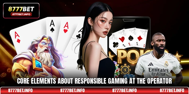 Core elements about Responsible Gaming at the operator